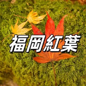 【福岡紅葉2026】賞楓景點・賞楓期預測・交通・10大九州紅葉景點攻略