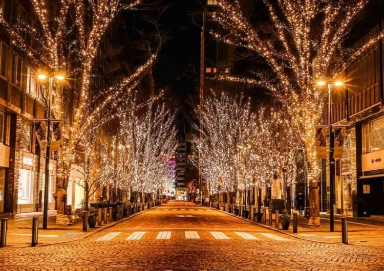 【イルミネーション2026】冬のおすすめスポット10選&楽しみ方を徹底解説
