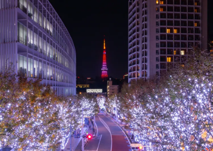 [도쿄 크리스마스] 2025 일본 도쿄 크리스마스 행사 Best 14! 롯폰기 야경 12월 도쿄 가볼만한 곳 일정 총정리!