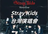 【2026 台灣演唱會】Stray Kids演唱會2026高雄站攻略,還有1月18、19日香港站