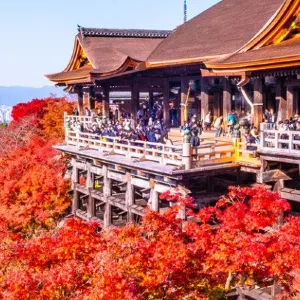 【京都楓葉 2025】日本京都賞楓景點必收!楓葉時間、熱門賞楓地圖、交通住宿懶人包