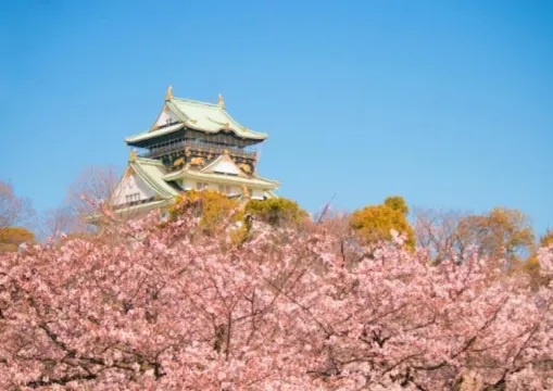 【大阪の桜 2026】大阪の花見・桜名所　お花見におすすめのスポット＆ 開花・満開 予測一覧！