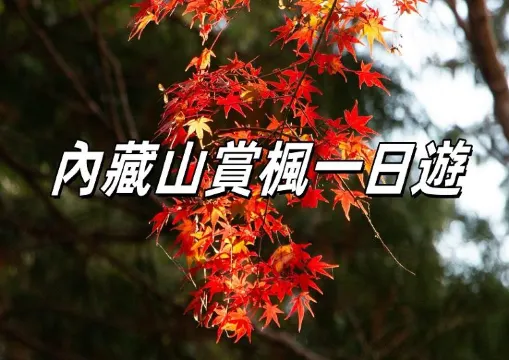 【2026賞楓】全羅道內藏山自由行賞楓一日遊！附必去景點和交通攻略