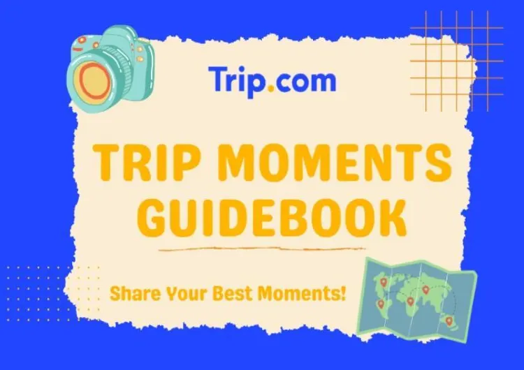 Руководство Пользователя Trip Moments