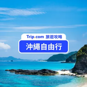 【2026 沖繩自由行】5 天 4 夜行程推薦/美食景點/交通花費懶人包