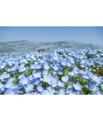 1mj6912000jvlq28l0748.webp