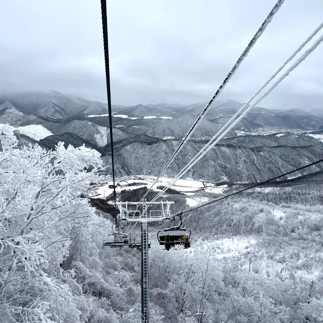 오투리조트 스키장