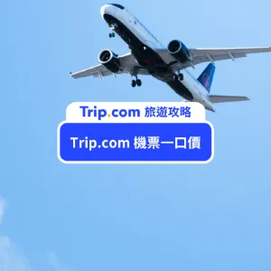 【Trip.com 機票一口價】搶購優惠機票攻略！輕鬆買到便宜機票