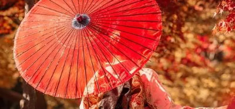 【京都紅葉2026】嵐山/清水寺/東福寺等京都賞楓名所推介！紅葉地圖、 最佳紅葉觀賞時間、見頃資訊懶人包！
