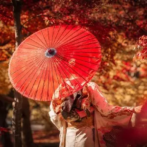 【京都紅葉2026】嵐山/清水寺/東福寺等京都賞楓名所推介!紅葉地圖、 最佳紅葉觀賞時間、見頃資訊懶人包!