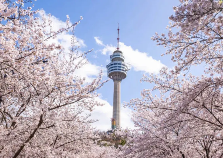 Panduan Wisata Korea 2026: Aturan Masuk, Transportasi & Tips Lokal