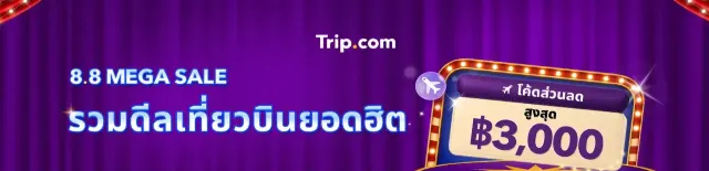 1mj6a824x9aas8w4h0A36.webp