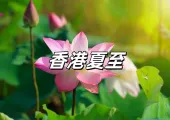 【香港夏至】2025夏至6月21日將至！一文瞭解夏至來源、飲食、5大習俗+6大禁忌，以及開財運好方法！