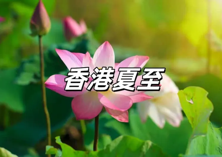 【香港夏至】2026夏至6月21日將至！一文瞭解24節氣中夏至來源、飲食、5大習俗+6大禁忌，以及開財運好方法！