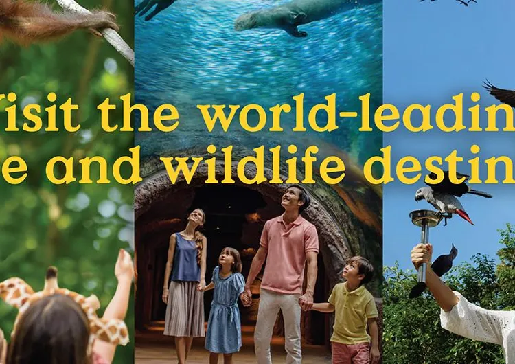 Mandai Wildlife Reserve