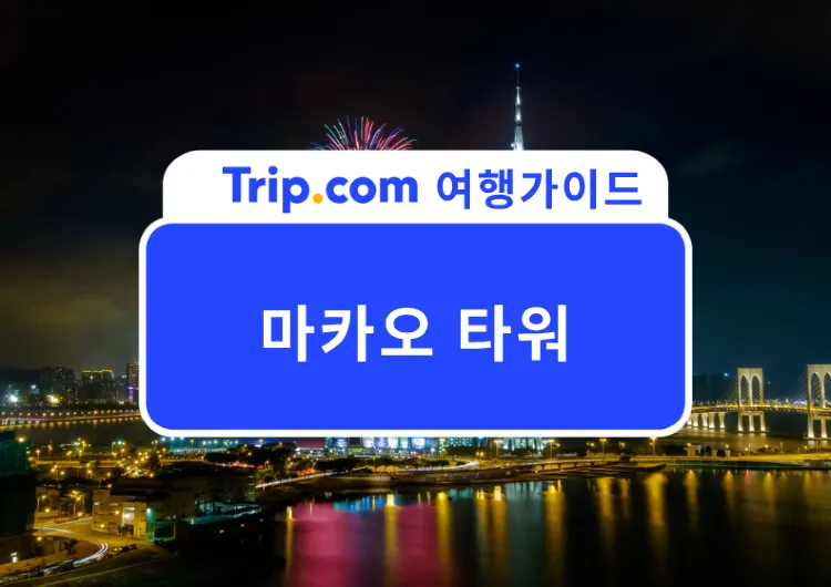 2026 마카오 타워 전망대부터 번지점프, 360도 뷰 회전뷔페까지! 360도 마카오 타워 완벽 가이드