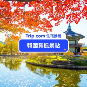 【2026 韓國賞楓】22+ 首爾賞楓熱門景點總整理！韓國楓葉預測時間看這篇