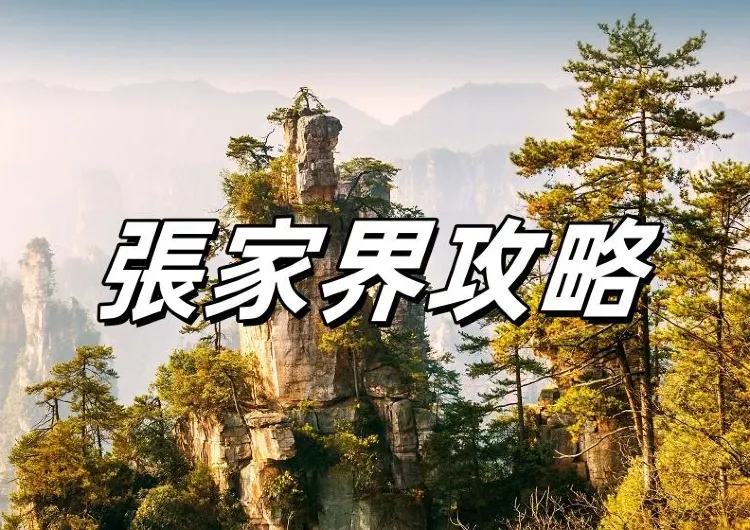 【張家界攻略】2025韓國人來華必知，發現中國的美麗風景