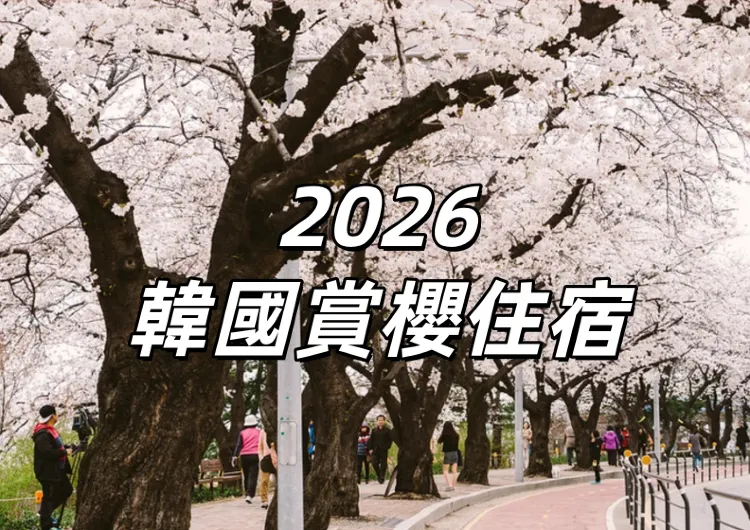 【2026韓國賞櫻住宿】全攻略：汝夷島、石村湖、慶熙大學等六大賞櫻勝地＋周邊住宿推介