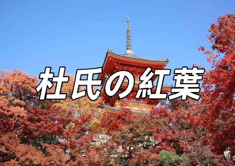 【杜氏紅葉2026】夜の紅葉ならではの魅力! 東済植物園、交通機関、食べ物、近くのアトラクションはすべてクリアです