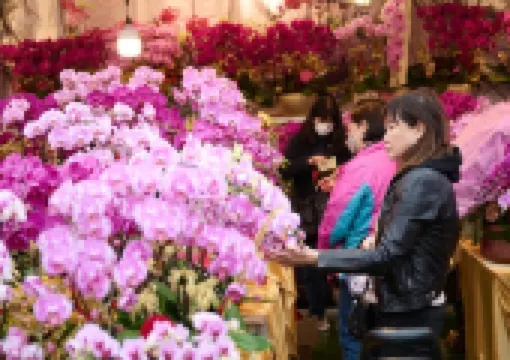 【年宵2026】全港各區年宵市場交通與特色全攻略!維園、荃灣、深水埗等市場開放時間、交通指南一文睇