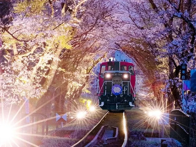 嵯峨野トロッコ列車（嵐山小火車）「光の幻想列車」