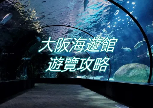 【大阪海遊館】2026最新夜間海遊館遊覽攻略！附門票、交通資訊
