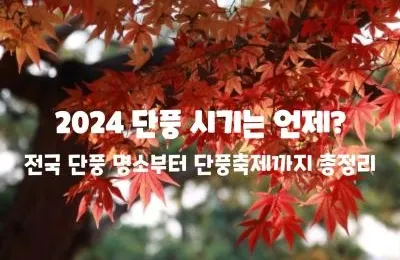 2025 단풍 시기의 아름다움, 국내 대표 단풍 명소와 단풍축제 총정리
