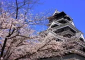 【南九州自由行】南九州必訪景點大公開！讓你第一次自由行就上手