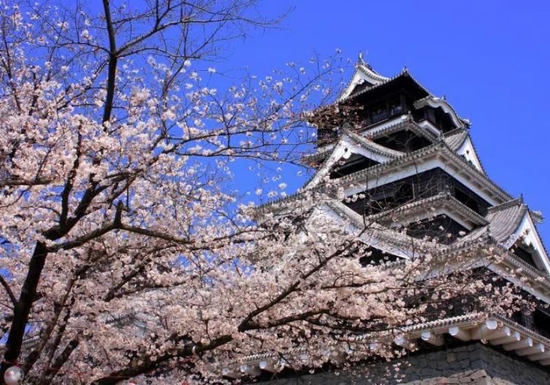 【南九州自由行】南九州必訪景點大公開！讓你第一次自由行就上手