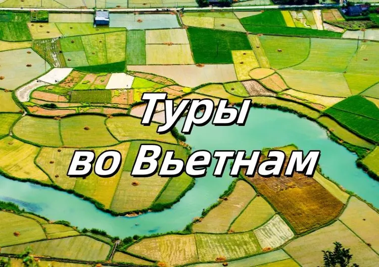 Вьетнам 2025: лучшие туры и отдых в Нячанге, Ханое и Дананге