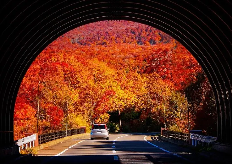 【2025 北海道紅葉】最完整攻略｜景點推薦、觀賞期預測、交通玩法全推介！