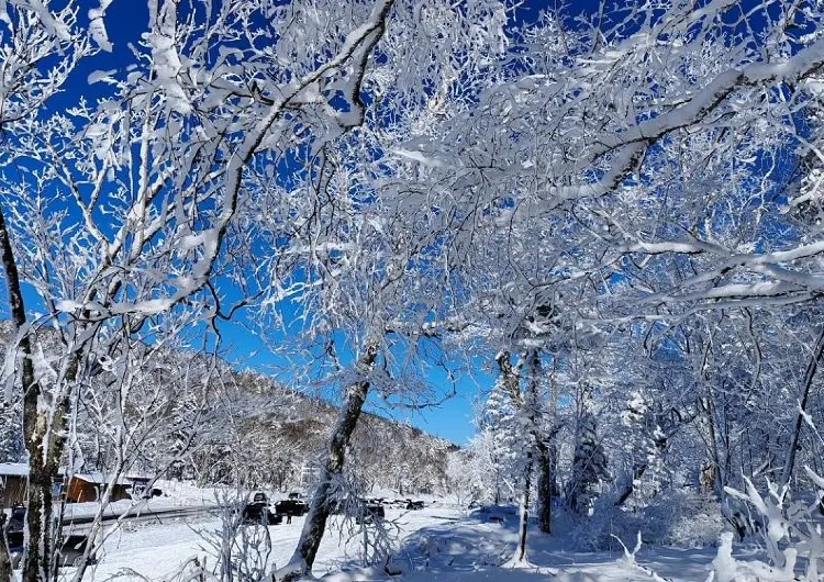 국내 및 해외 겨울 여행 추천: 겨울방학 가볼만한 곳