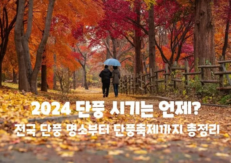 2024 단풍 시기는 언제? 전국 단풍 명소부터 단풍축제까지 총정리