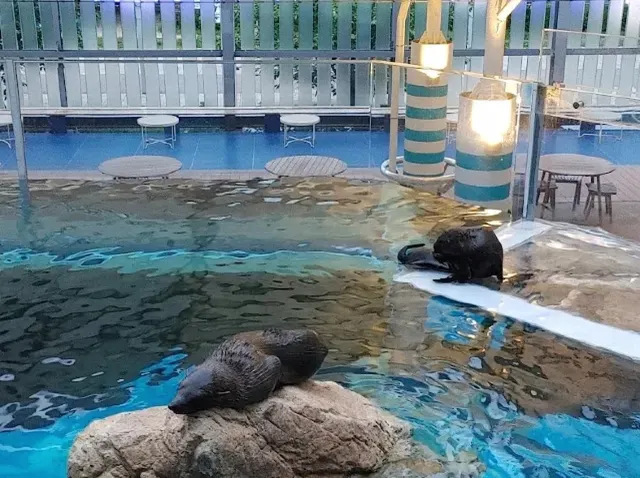 京都水族館夜の水族館見どころ