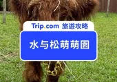2025水与松萌萌園全攻略｜交通路線、門票優惠、必看可愛小動物，餐飲體驗