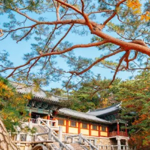 【경주 가볼만한 곳】경주 날씨·KTX 정보부터 경주월드까지 총정리!