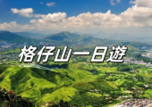 【格仔山路線】2026輕鬆行山遊九龍東，解鎖《新聞女王》取景地的魅力風景