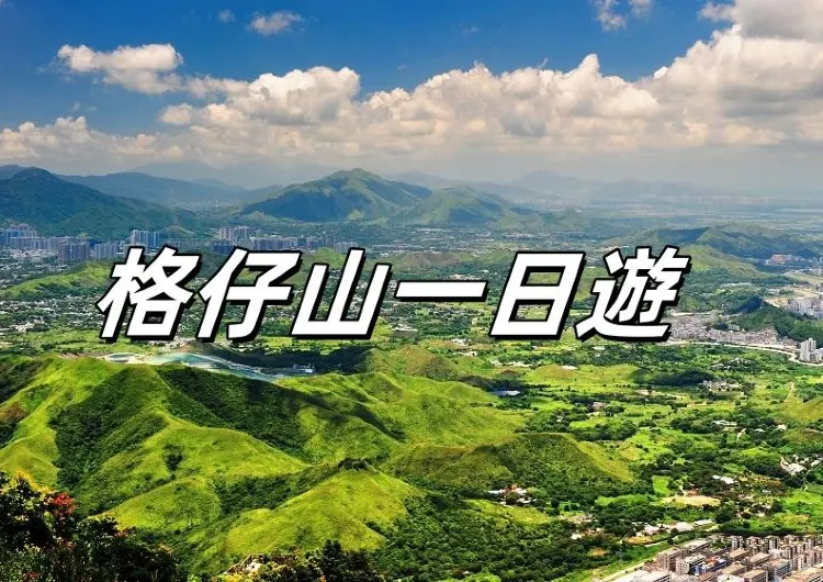 【格仔山路線】2026輕鬆行山遊九龍東,解鎖《新聞女王》取景地的魅力風景