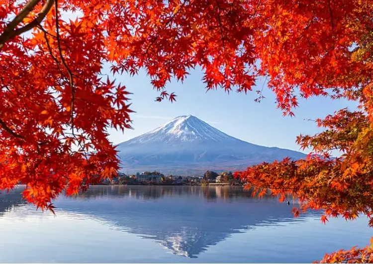 【東京紅葉2025 最新】十大東京及近郊紅葉銀杏景點｜最佳賞楓時間＋交通攻略