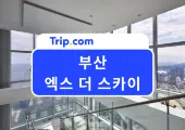2026 부산 엑스더스카이 예매 할인 주차장 맛집 총정리|해운대 야경 명소 낮·밤 비교 & 99층 스타벅스 정보까지