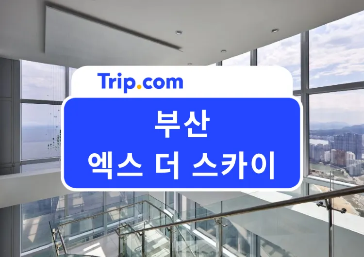 2026 부산 엑스더스카이 예매 할인 주차장 맛집 총정리|해운대 야경 명소 낮·밤 비교 & 99층 스타벅스 정보까지