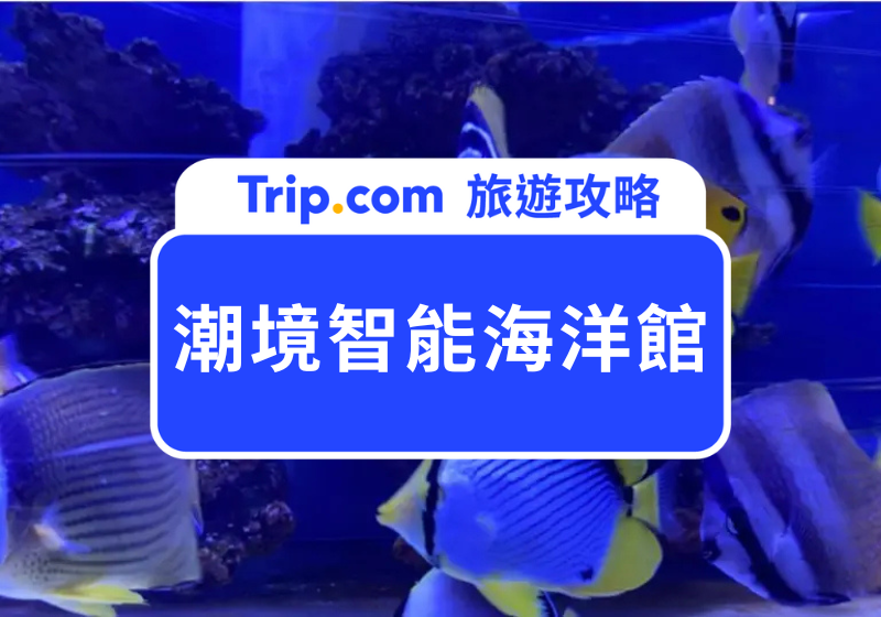 2026基隆潮境智能海洋館全攻略｜交通路線、門票優惠一次幫你整理好！