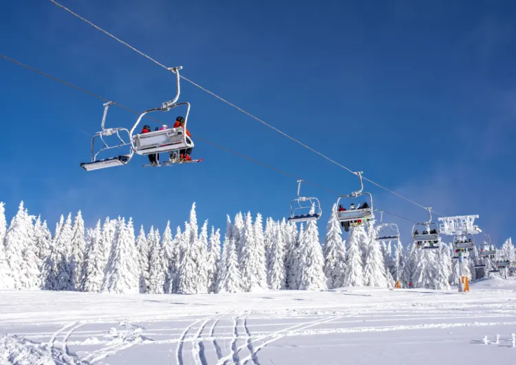 [스키장 개장일 2025] 25/26 시즌 전국 주요 스키장 개장·시즌권·리프트권 가격 한눈에 보기!