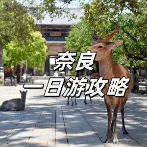 【奈良一日遊】奈良景點遊玩&祭典活動全攻略!餵小鹿、訪古寺,交通、行程、購物、美食、住宿推介!