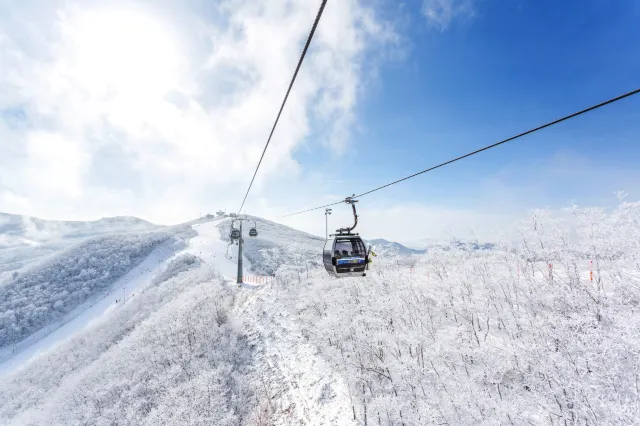하이원 리조트 스키장