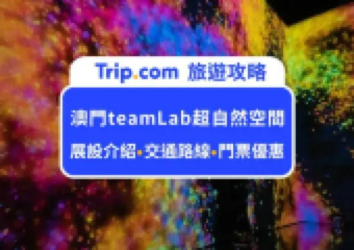 這樣拍和逛就對了!2026 澳門teamLab超自然空間完整攻略,門票價格、交通資訊、必逛展區、注意事項,帶你輕鬆打卡