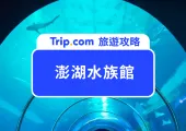 【2026澎湖室內景點推薦】澎湖水族館：必看大洋池餵食秀、夢幻海底隧道，夏日避暑必去攻略！