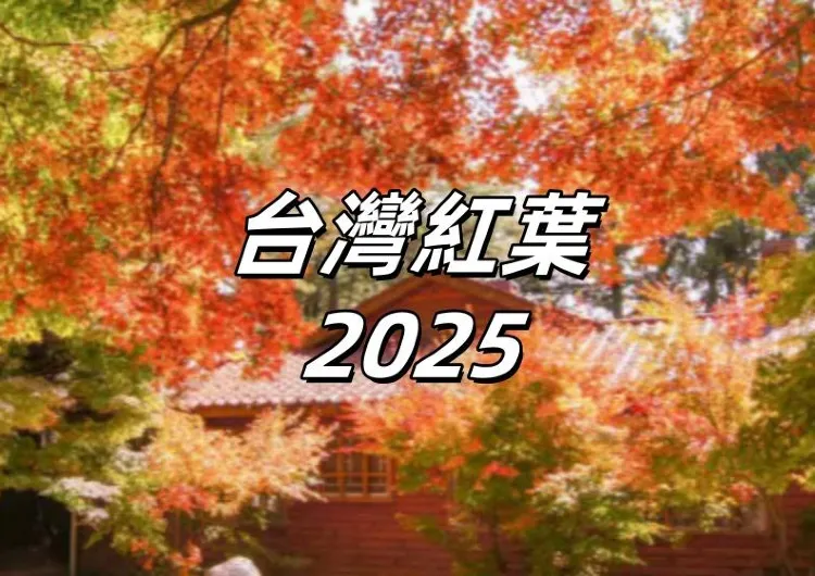 【台灣紅葉2025】全台灣10+賞楓熱門景點推薦！紅葉最佳觀賞時間、賞楓地圖、住宿推薦懶人包！(持續更新)