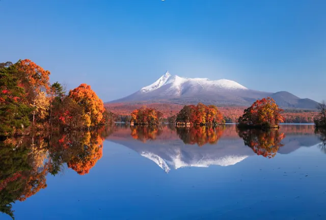 北海道楓葉